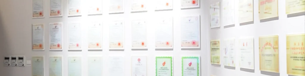 Our Factory Upgrade Journey